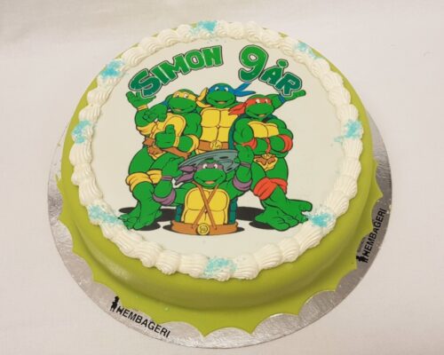 Ninja turtles Ninja turtles