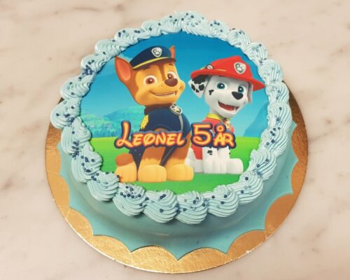 paw patrol paw patrol